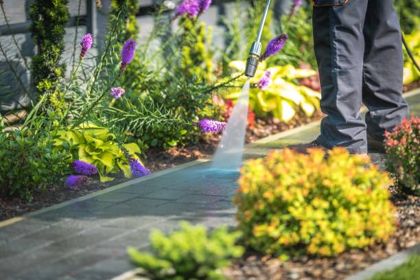 Best Driveway Pressure Washing  in Hebron Estates, KY